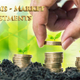 Illustration for article titled Shares of Aurora Cannabis – have been on a tear in 2019